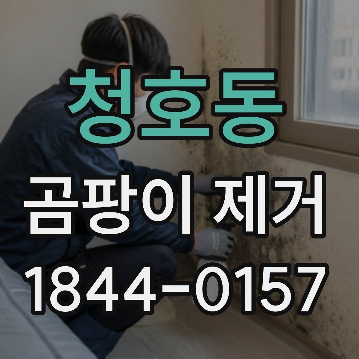 청호동 곰팡이 제거
