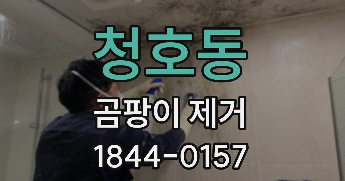 청호동 곰팡이 제거