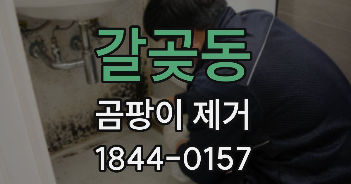 갈곶동 곰팡이 제거