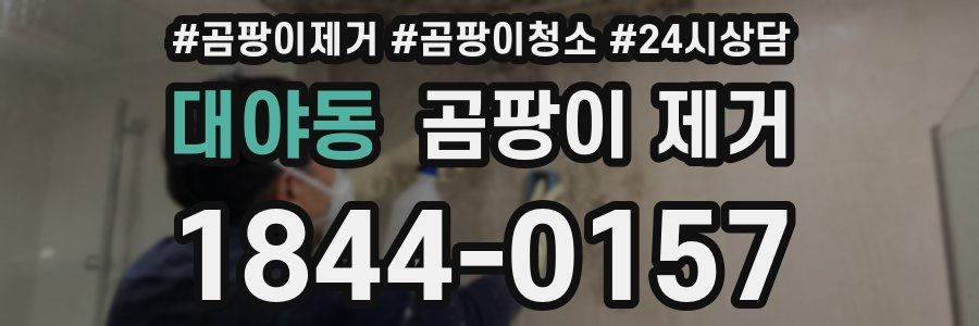 대야동 곰팡이 제거