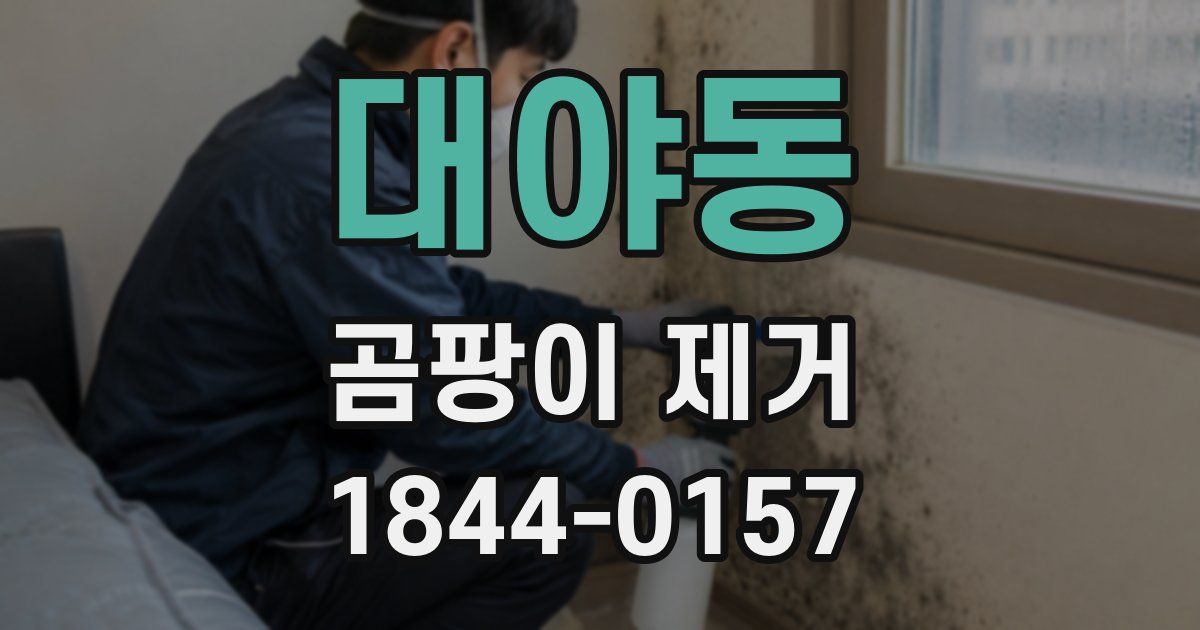 대야동 곰팡이 제거