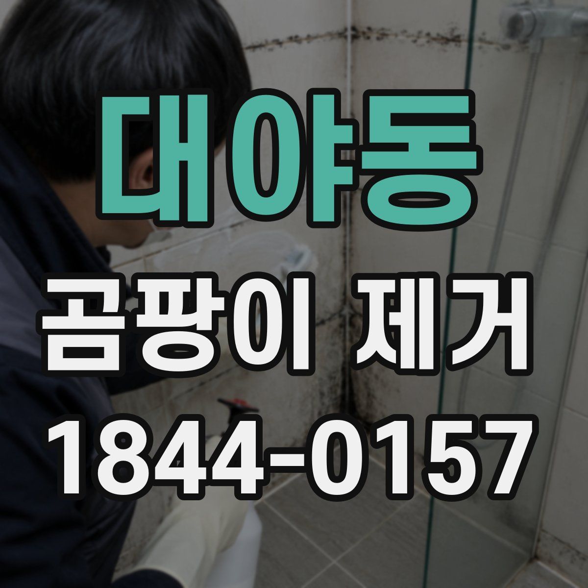 대야동 곰팡이 제거