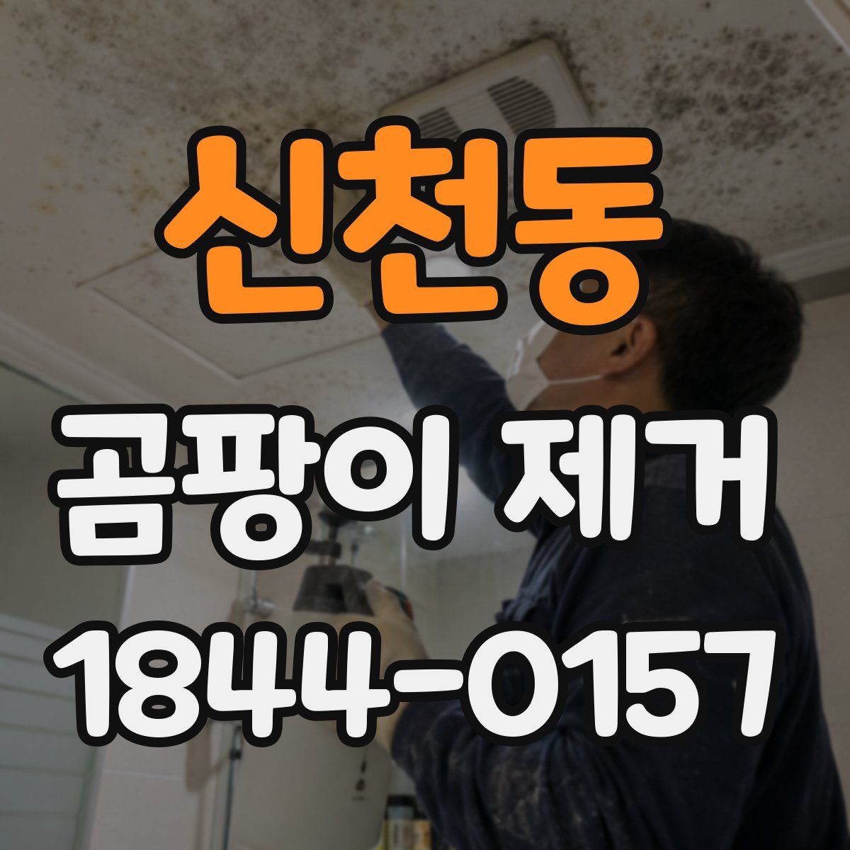 신천동 곰팡이 제거