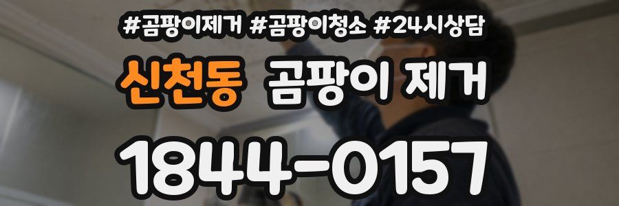 신천동 곰팡이 제거