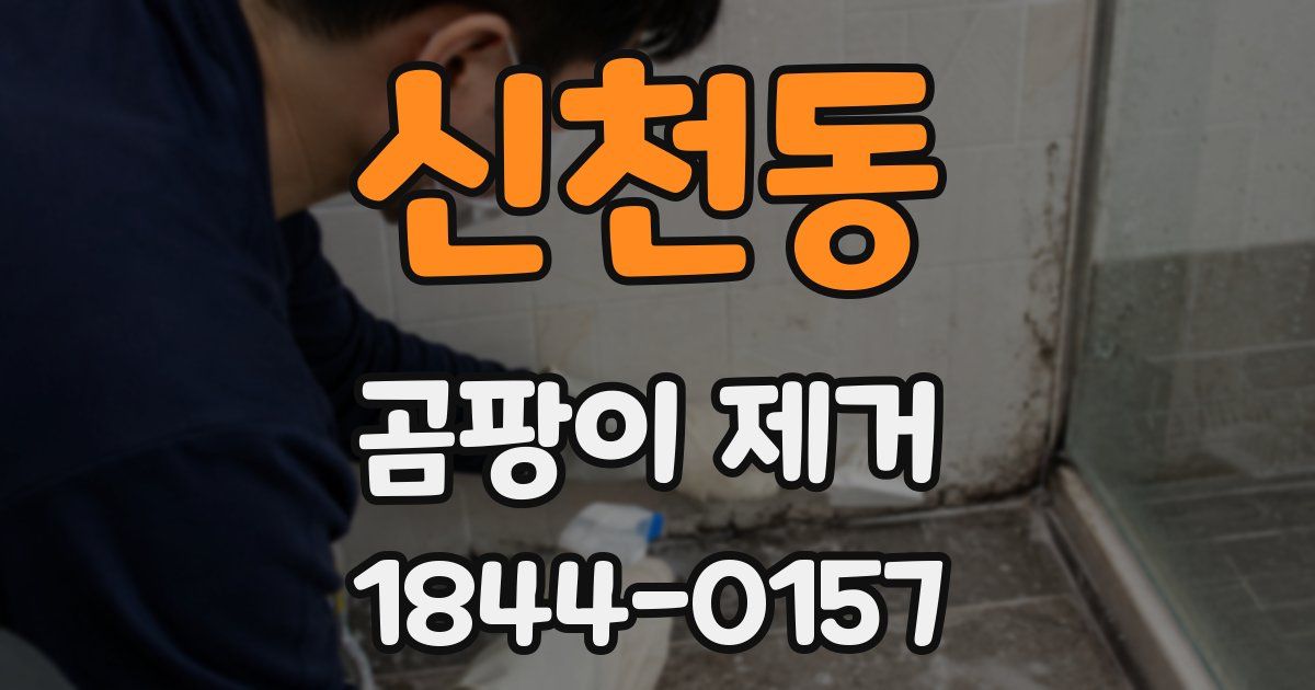 신천동 곰팡이 제거