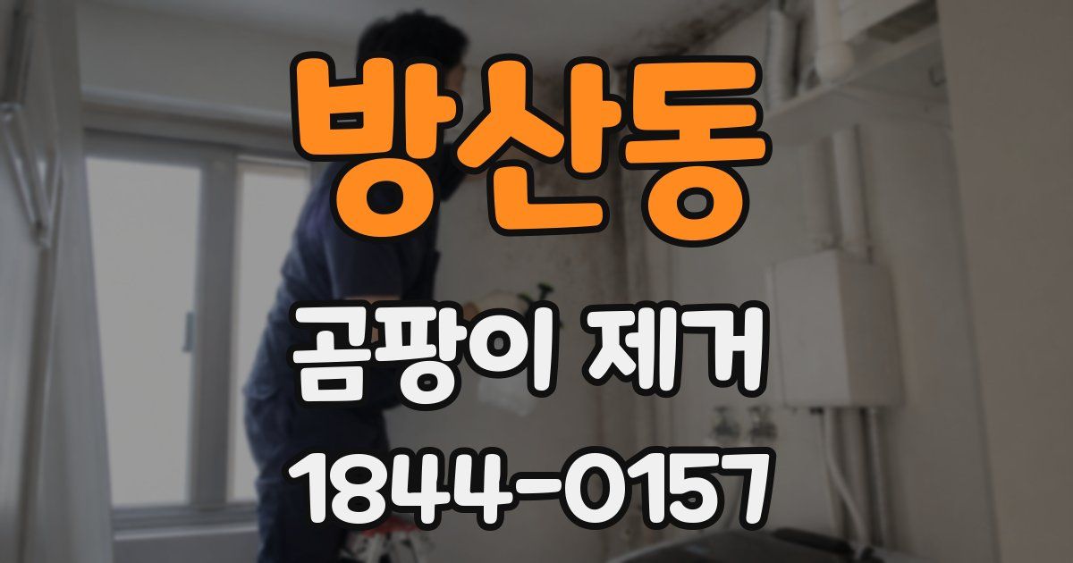 방산동 곰팡이 제거