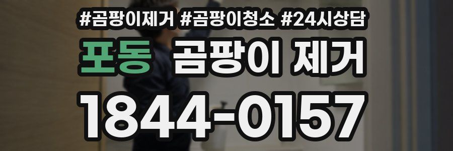 포동 곰팡이 제거