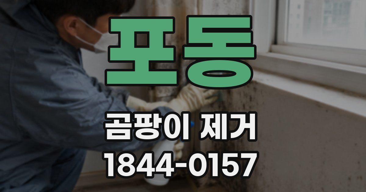 포동 곰팡이 제거