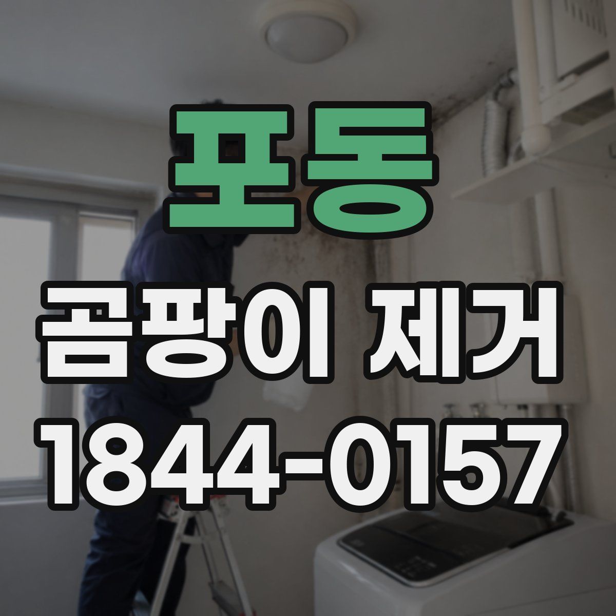 포동 곰팡이 제거