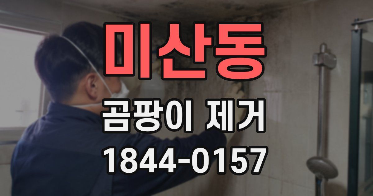 미산동 곰팡이 제거