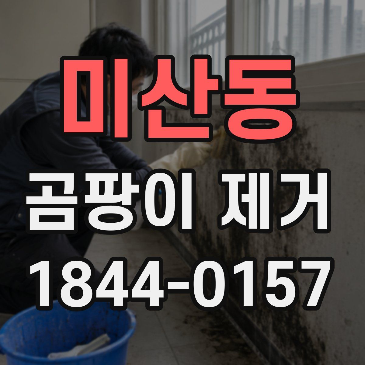 미산동 곰팡이 제거