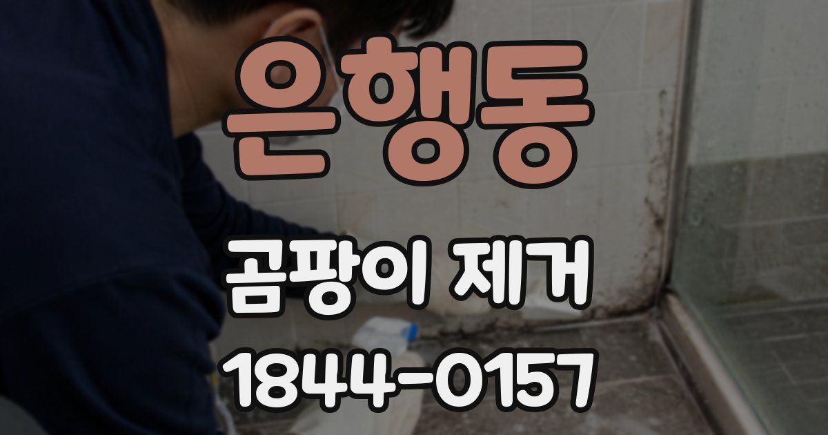 은행동 곰팡이 제거