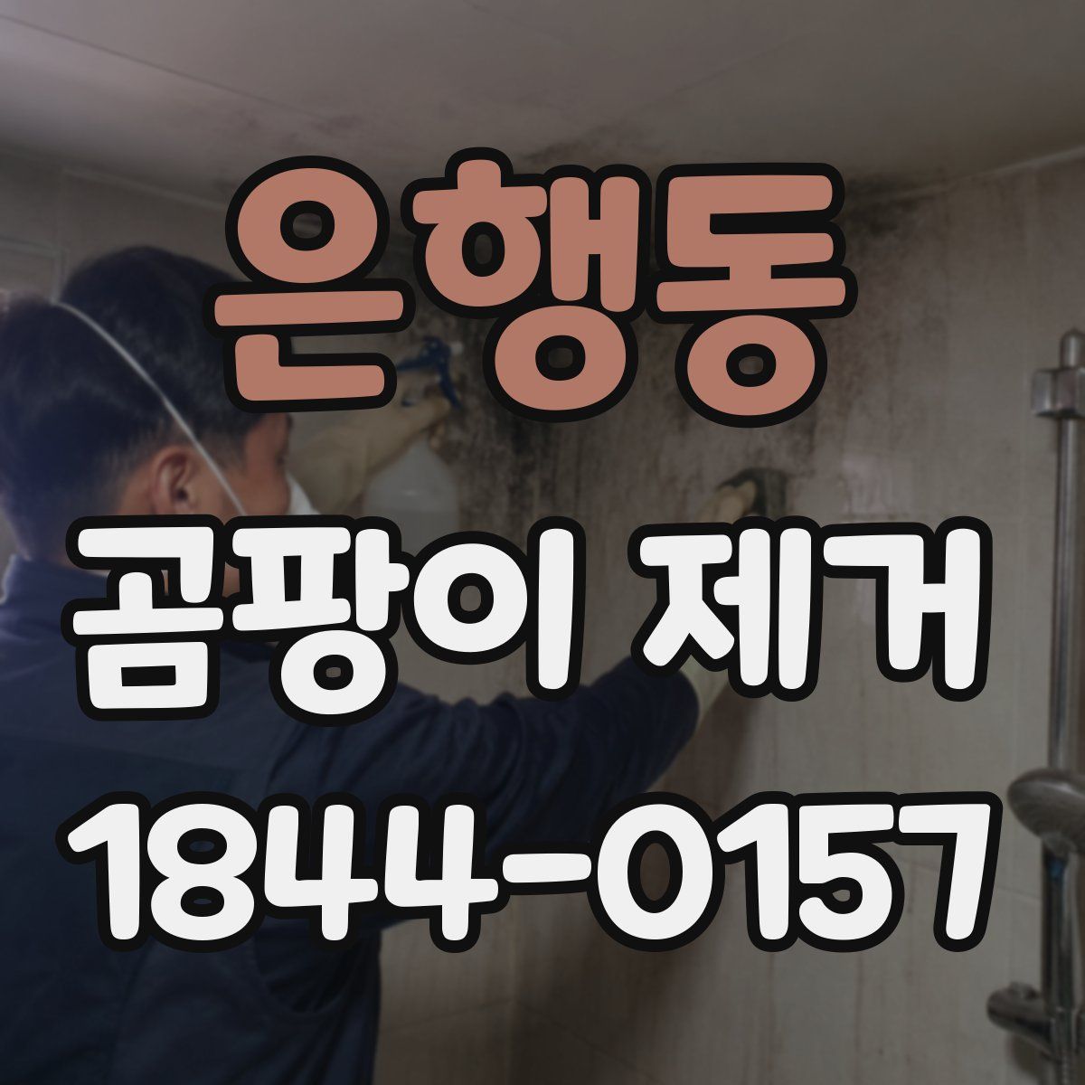 은행동 곰팡이 제거