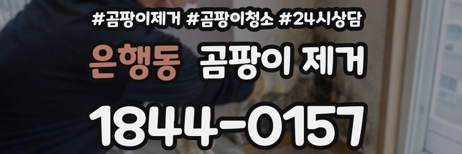 은행동 곰팡이 제거