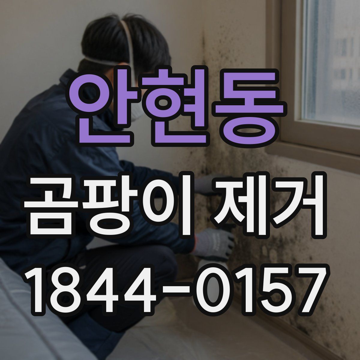 안현동 곰팡이 제거