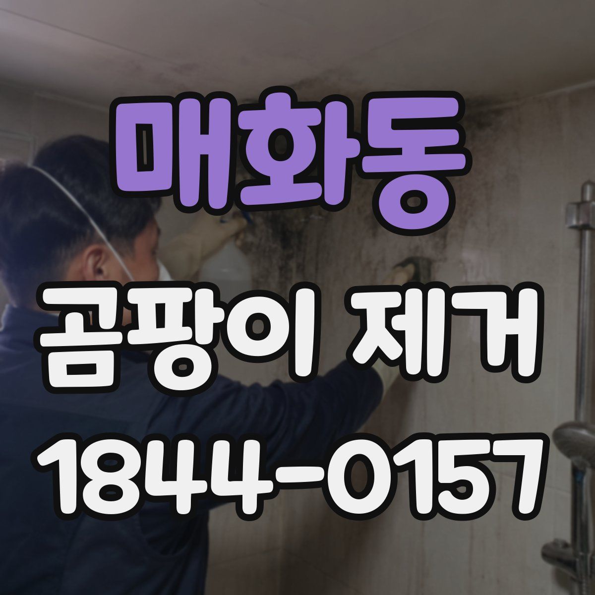 매화동 곰팡이 제거