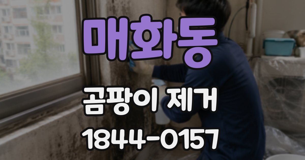 매화동 곰팡이 제거