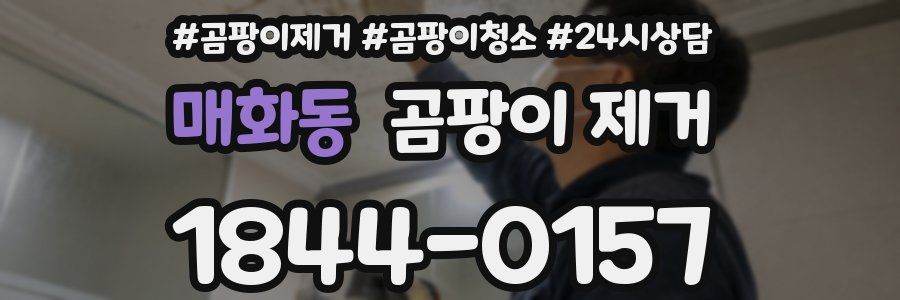 매화동 곰팡이 제거