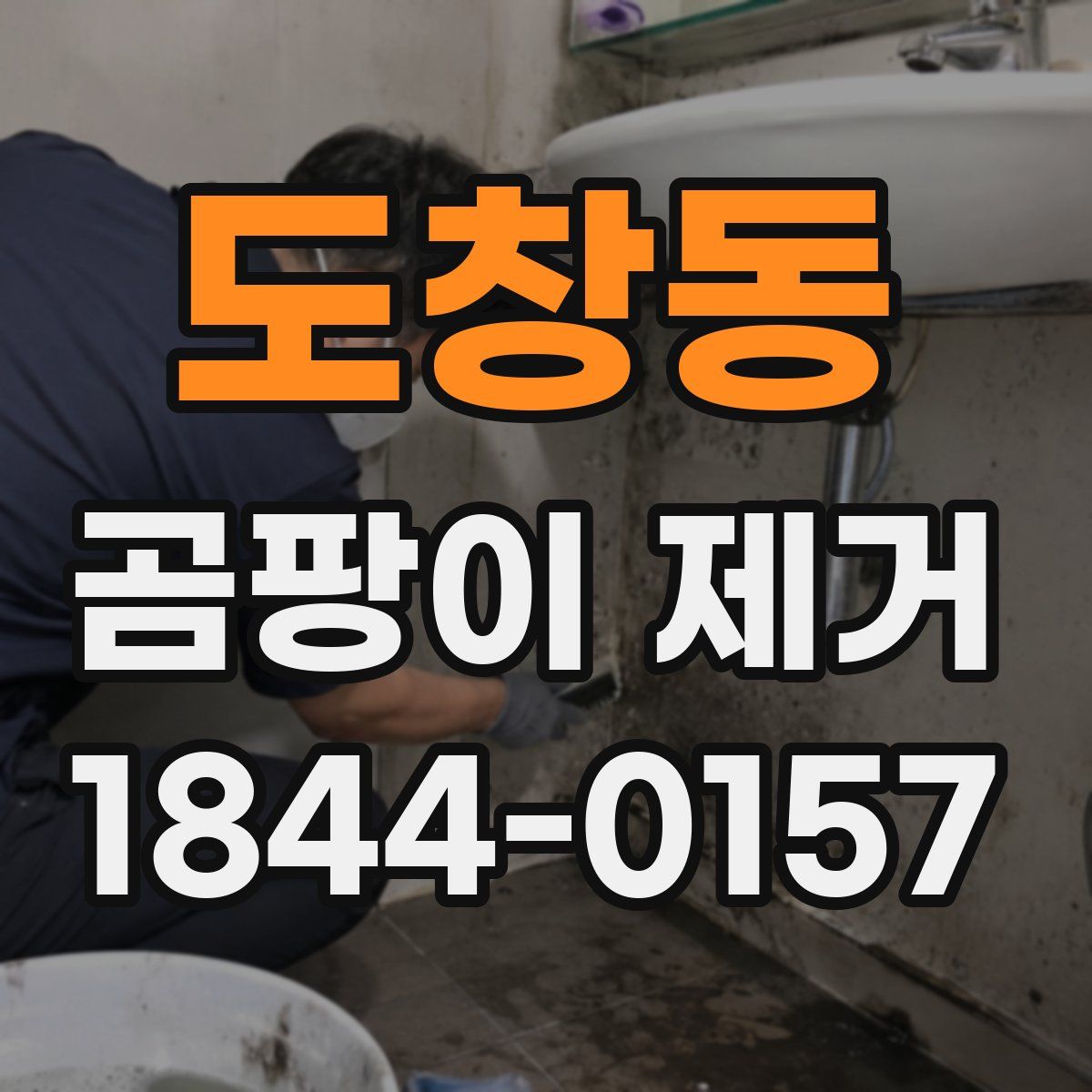 도창동 곰팡이 제거