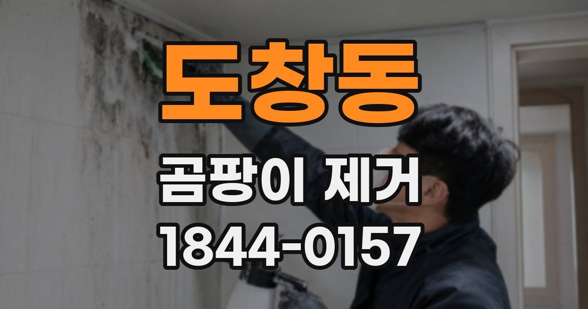 도창동 곰팡이 제거