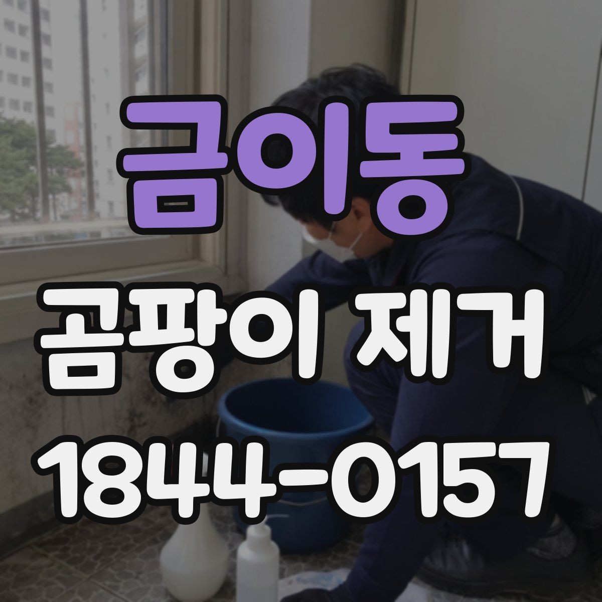 금이동 곰팡이 제거 마감재별 안전한 처리 방법 정리