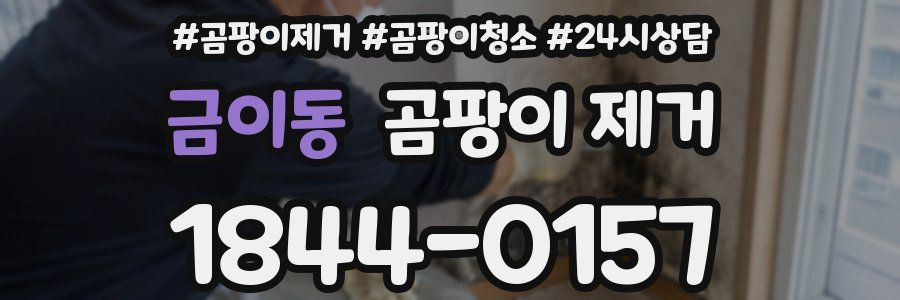 금이동 곰팡이 제거