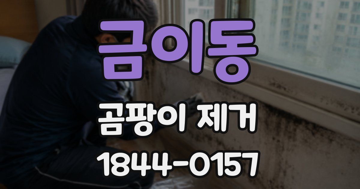 금이동 곰팡이 제거