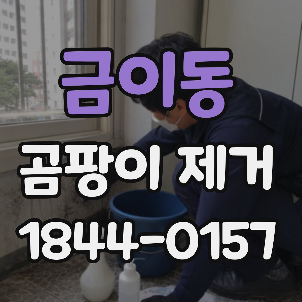금이동 곰팡이 제거