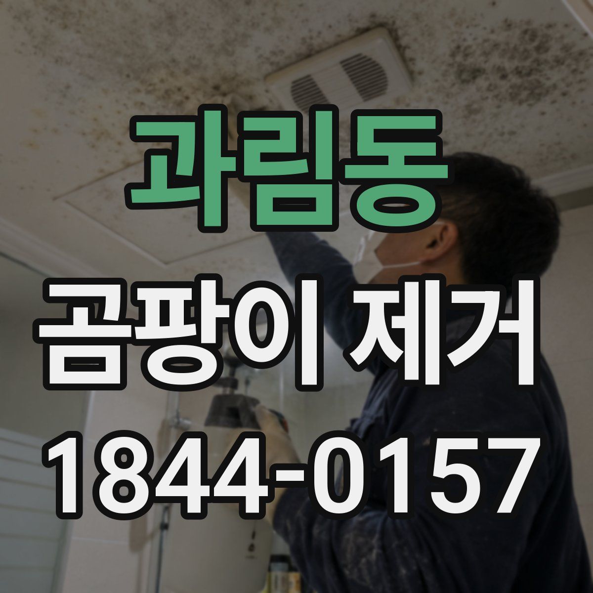 과림동 곰팡이 제거