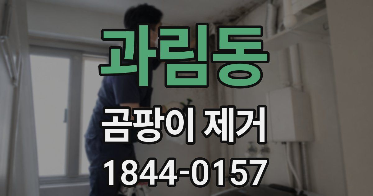 과림동 곰팡이 제거
