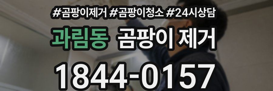 과림동 곰팡이 제거