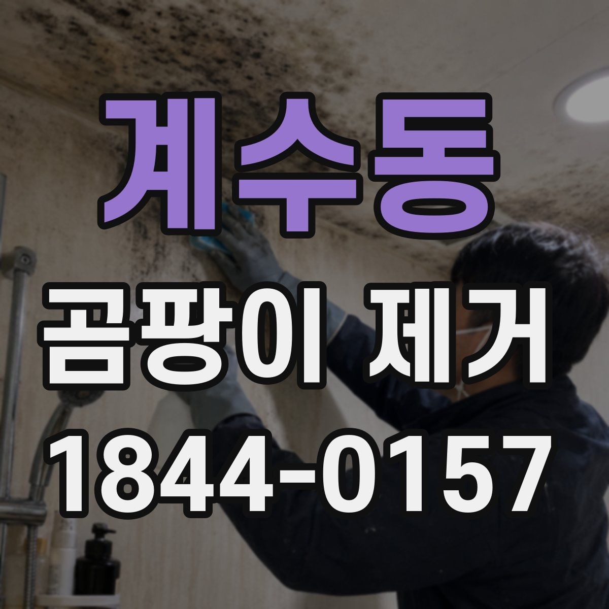 계수동 곰팡이 제거 안전수칙과 마스크 준비가 필요한 이유