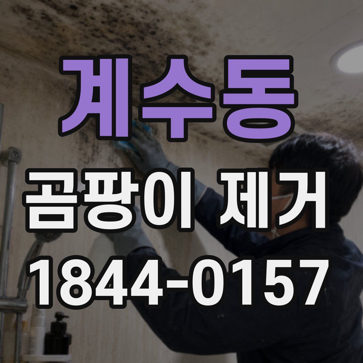 계수동 곰팡이 제거