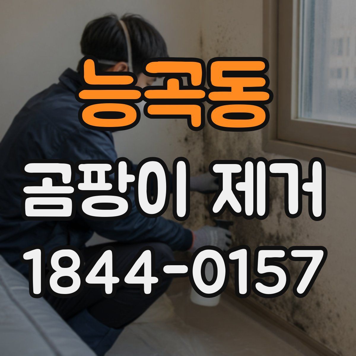 능곡동 곰팡이 제거