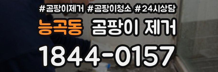 능곡동 곰팡이 제거
