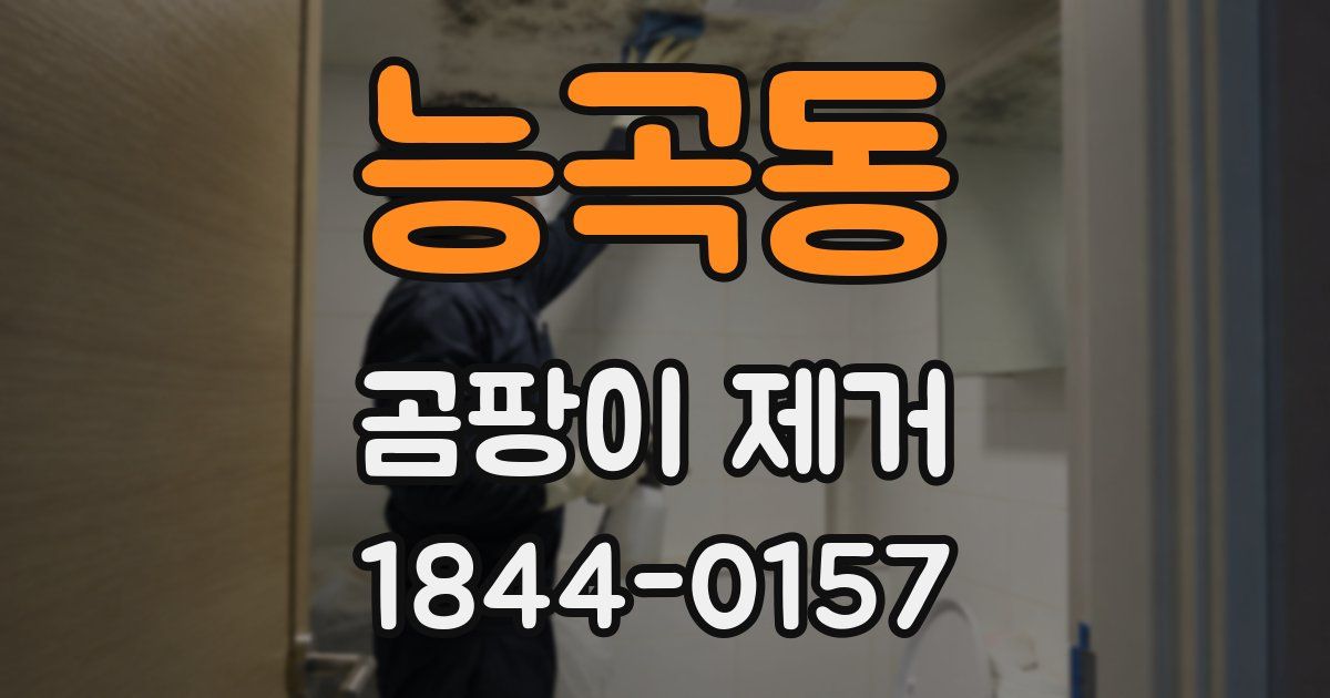 능곡동 곰팡이 제거