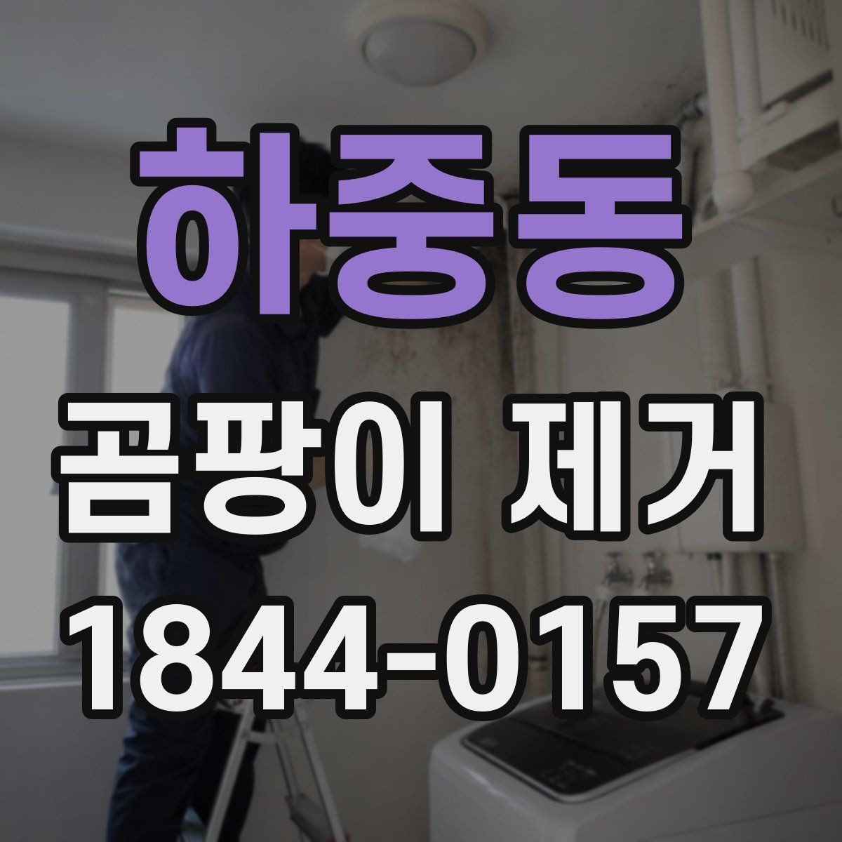 하중동 곰팡이 제거 도배·페인트 전 꼭 확인할 순서