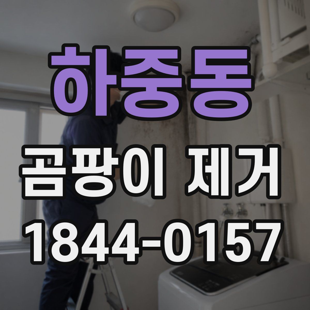 하중동 곰팡이 제거
