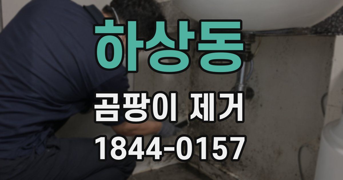 하상동 곰팡이 제거