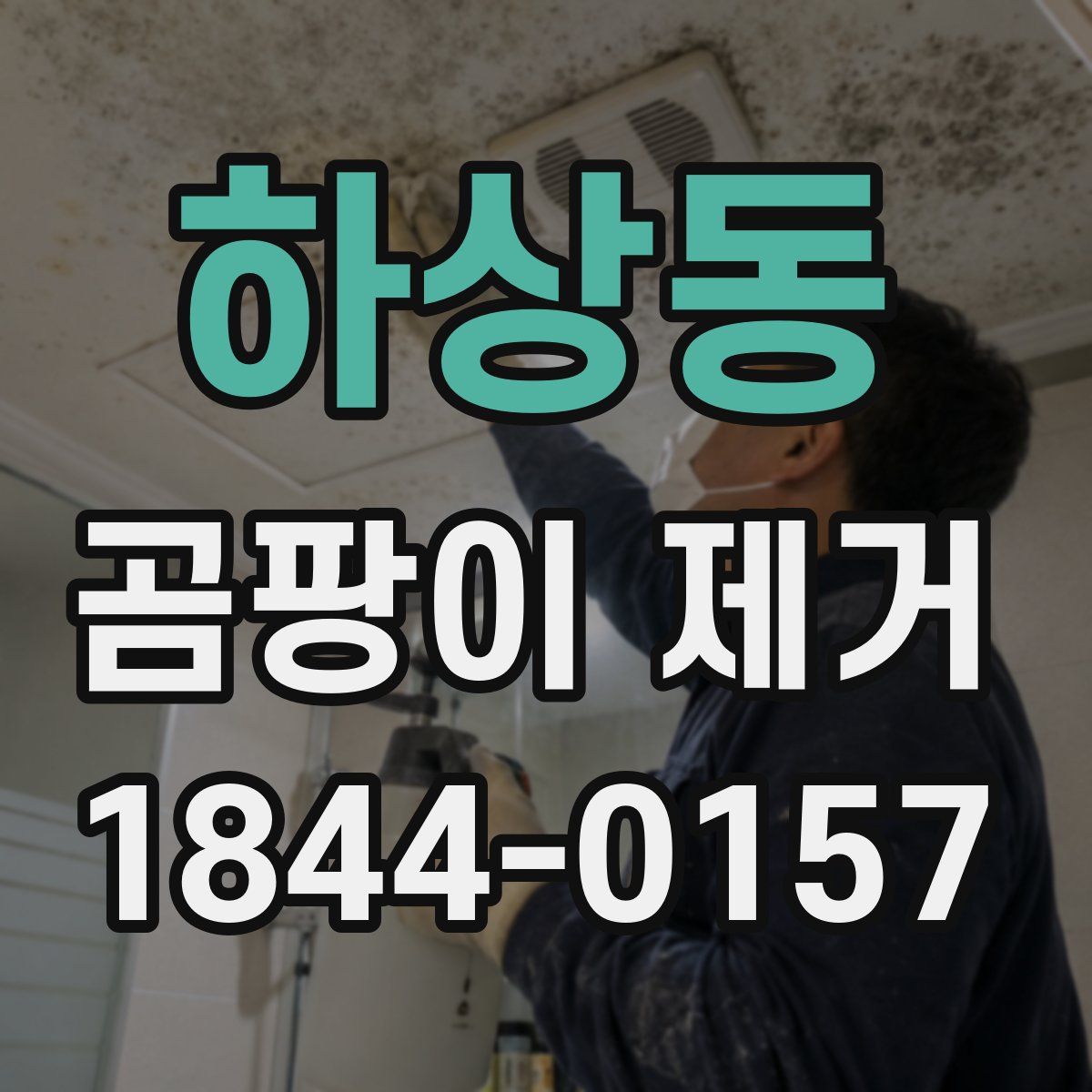 하상동 곰팡이 제거