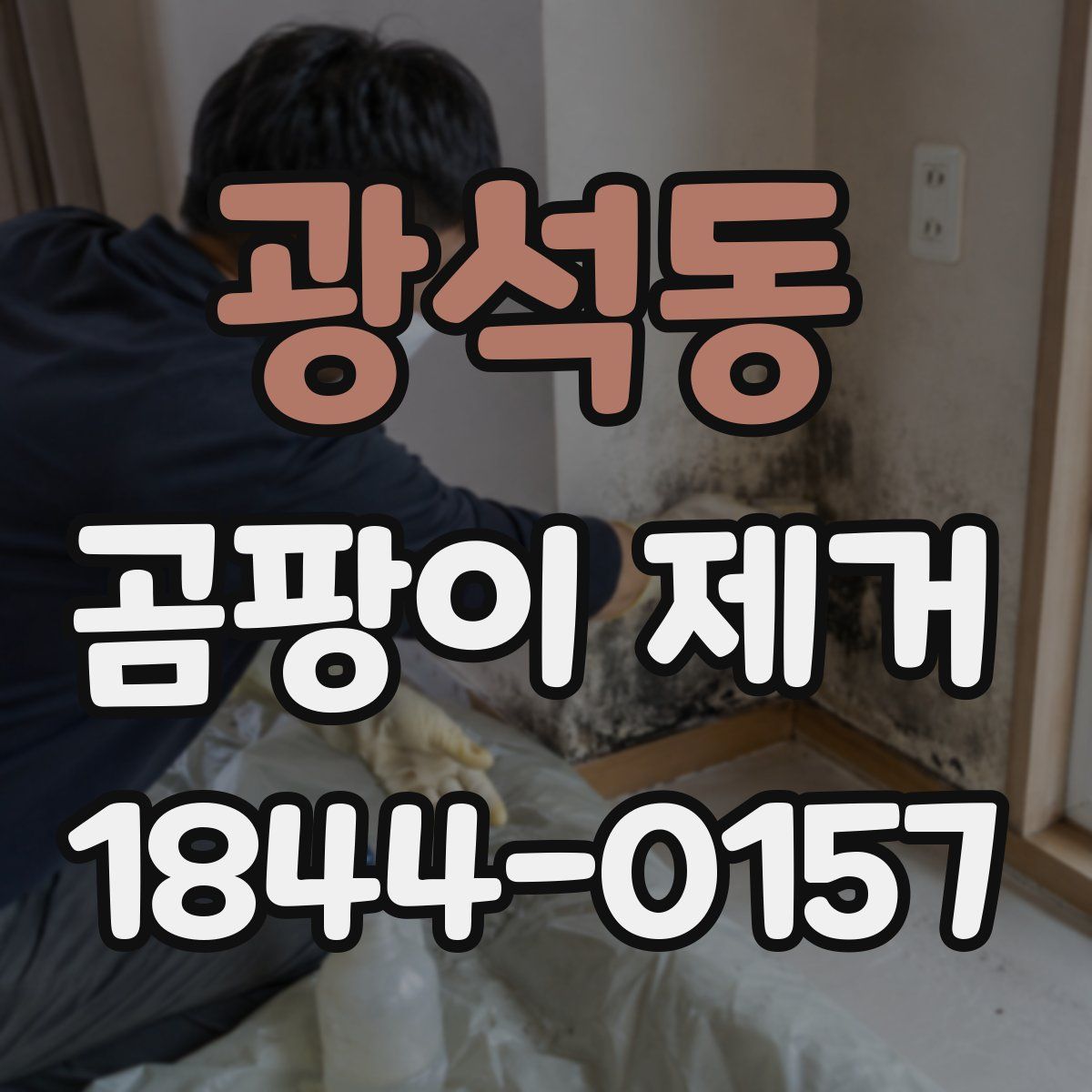광석동 곰팡이 제거
