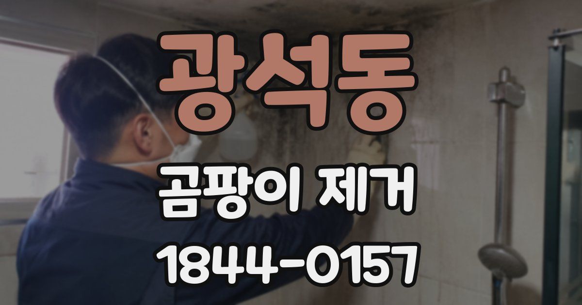 광석동 곰팡이 제거