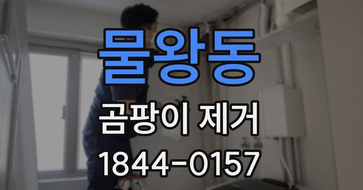 물왕동 곰팡이 제거