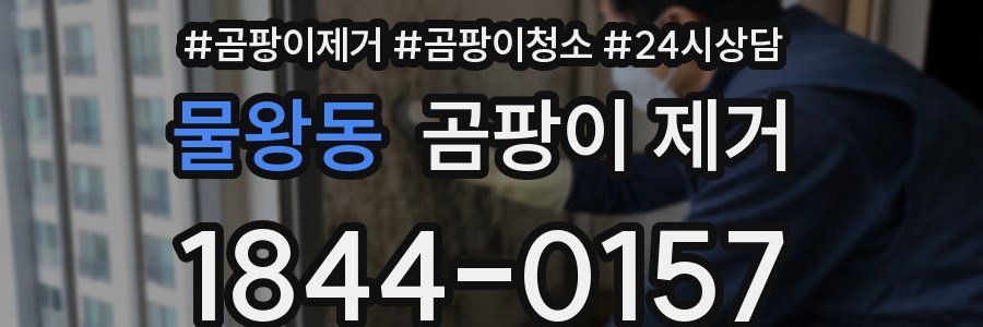 물왕동 곰팡이 제거