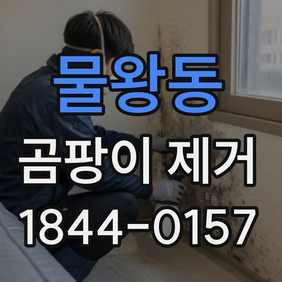 물왕동 곰팡이 제거