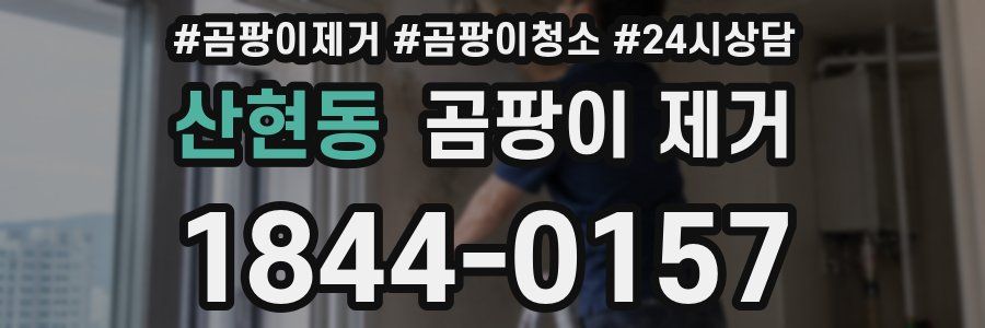 산현동 곰팡이 제거