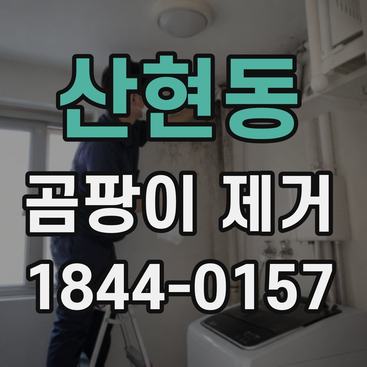 산현동 곰팡이 제거
