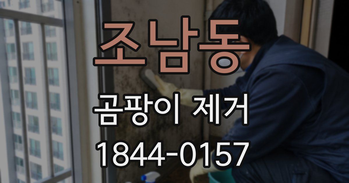조남동 곰팡이 제거