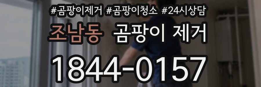 조남동 곰팡이 제거