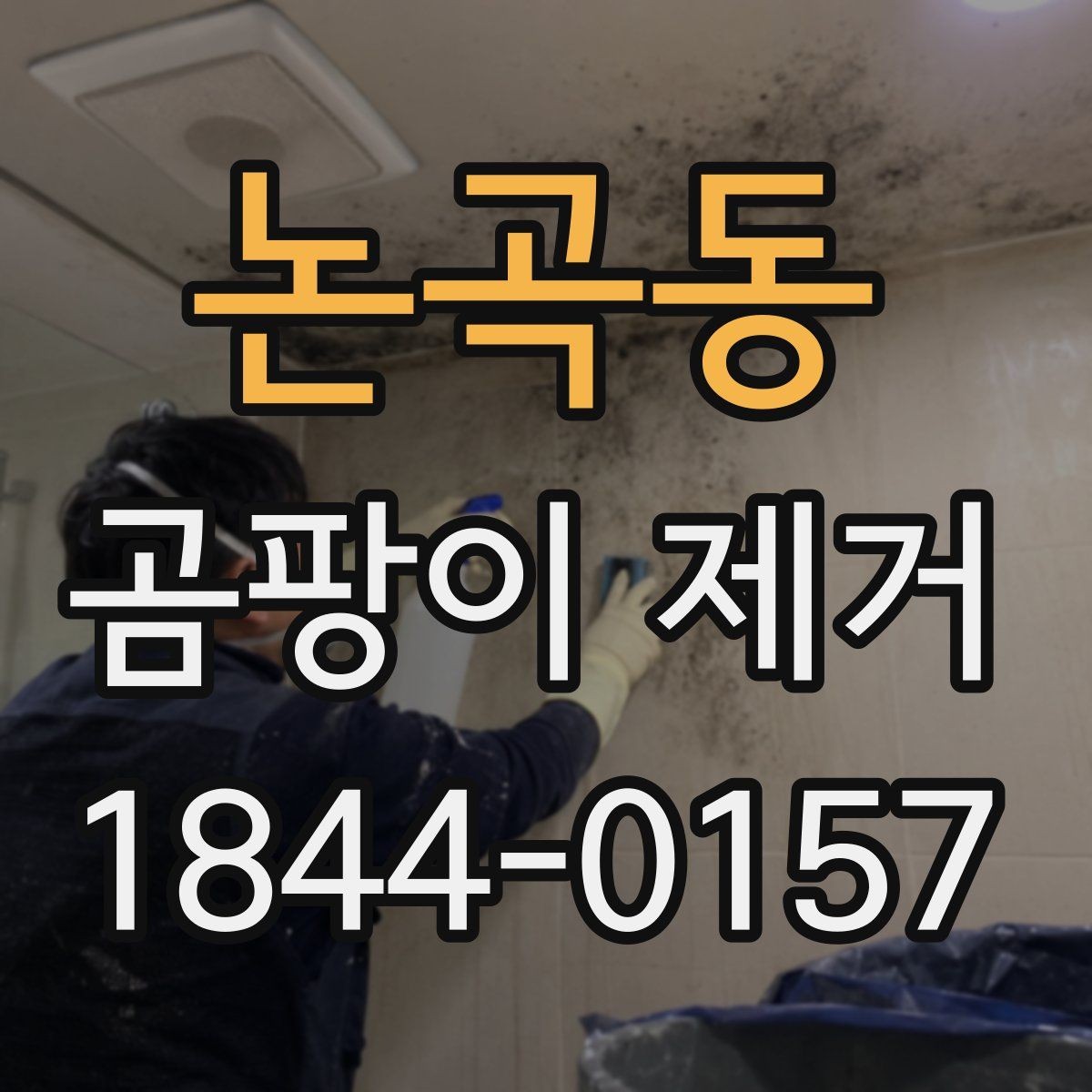 논곡동 곰팡이 제거 가전·에어컨 점검부터 확인하는 순서